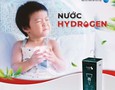 Điện lạnh, Máy, Gia dụng