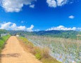 Mua Bán nhà đất