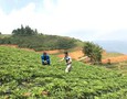 Điện lạnh, Máy, Gia dụng