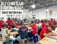Mua sắm, Tổng Hợp