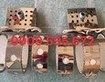 Điện lạnh, Máy, Gia dụng