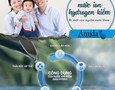 Điện lạnh, Máy, Gia dụng