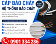 Cơ hội giao thương