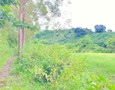 Mua Bán nhà đất