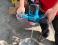Điện lạnh, Máy, Gia dụng