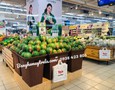 Đồ nội thất