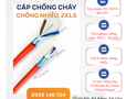 Cơ hội giao thương