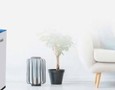 Điện lạnh, Máy, Gia dụng