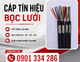 Cơ hội giao thương