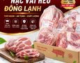 Mua sắm, Tổng Hợp