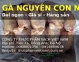 Mua sắm, Tổng Hợp