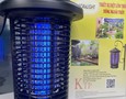 Đồ nội thất