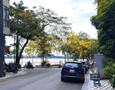 Mua Bán nhà đất