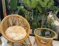 Đồ nội thất