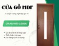 Dịch vụ văn phòng