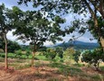 Mua Bán nhà đất