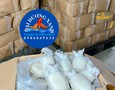 Mua sắm, Tổng Hợp