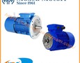 Điện lạnh, Máy, Gia dụng