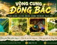 Du lịch
