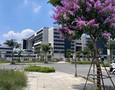 Mua Bán nhà đất