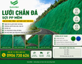 Cơ hội giao thương