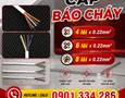 Cơ hội giao thương