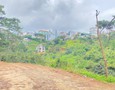 Mua Bán nhà đất