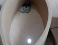 Điện lạnh, Máy, Gia dụng