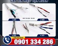 Cơ hội giao thương