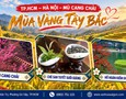 Du lịch