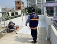 Cơ hội giao thương