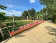 Mua Bán nhà đất