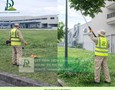 Vườn, Ngoại thất