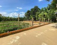 Mua Bán nhà đất
