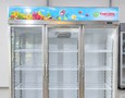 Điện lạnh, Máy, Gia dụng