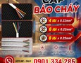Cơ hội giao thương