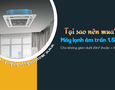 Điện lạnh, Máy, Gia dụng