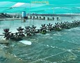 Cơ hội giao thương