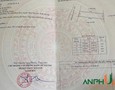 Mua Bán nhà đất