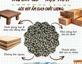 Mua sắm, Tổng Hợp