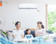 Điện lạnh, Máy, Gia dụng