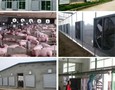 Điện lạnh, Máy, Gia dụng