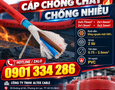 Cơ hội giao thương