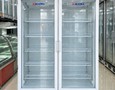 Điện lạnh, Máy, Gia dụng