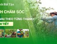 Mua sắm, Tổng Hợp