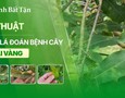 Mua sắm, Tổng Hợp