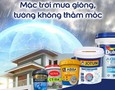 Cơ hội giao thương