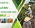 Mua sắm, Tổng Hợp