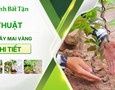 Vườn, Ngoại thất