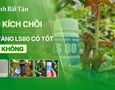 Vườn, Ngoại thất